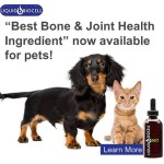 Liquid Pet BioCell® • Supports joint mobility and lubrication • Promotes healthy cartilage and connective tissue • Helps maintain joint structure, function, and flexibility • Nourishes for healthy skin • Specially formulated for cats and dogs 